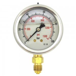 MANOMETRO GLICERINA INOX 63MM 0-100